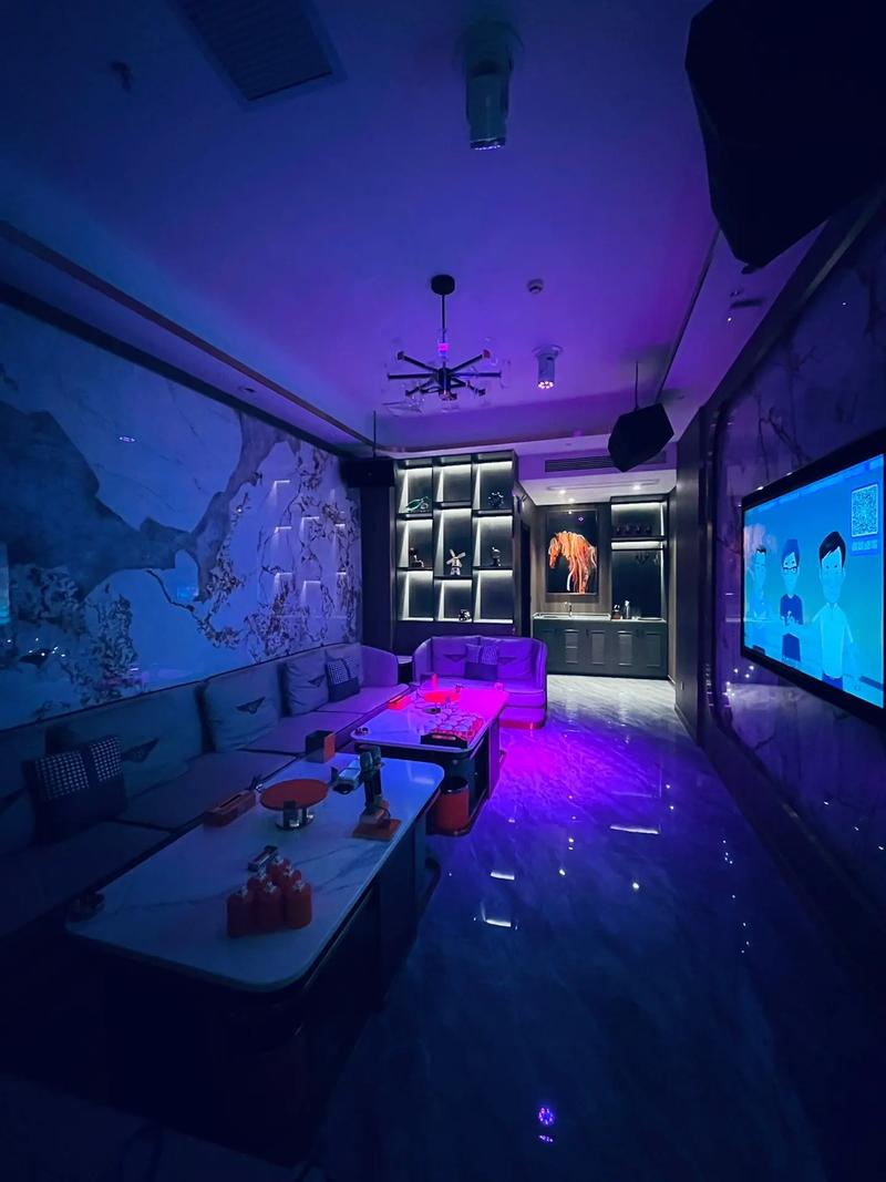 惠州商务ktv，如何玩-惠东县ktv预定